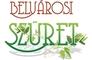 V. Belvárosi Szüret V. Belvárosi Szüret