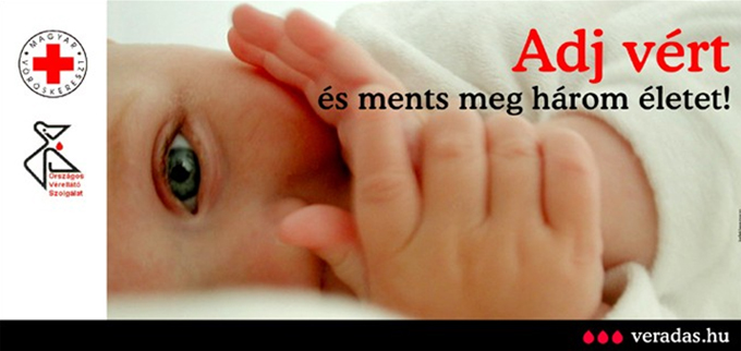 http://www.ztekosar.hu/webimages/2010/veradas2.jpg
